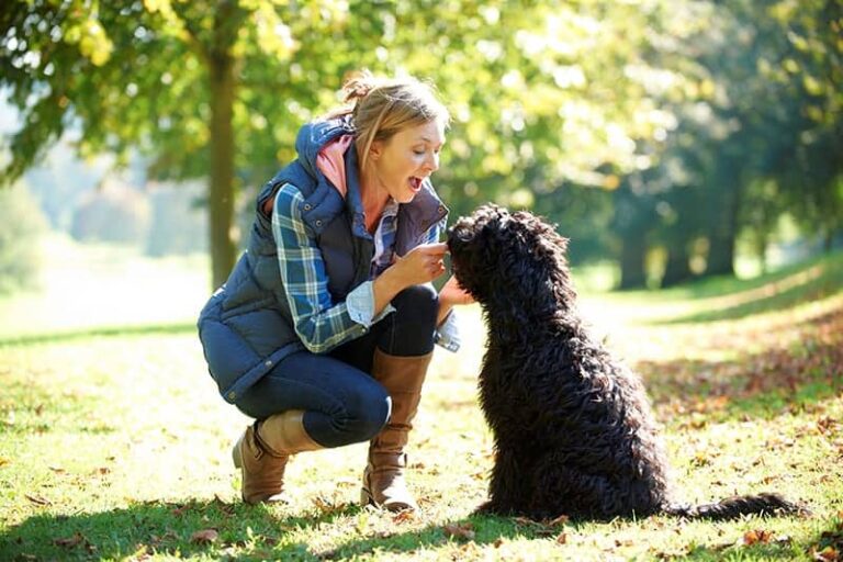 Your Dog’s Allergies Affect the Whole Family; 3 Steps to Tackling